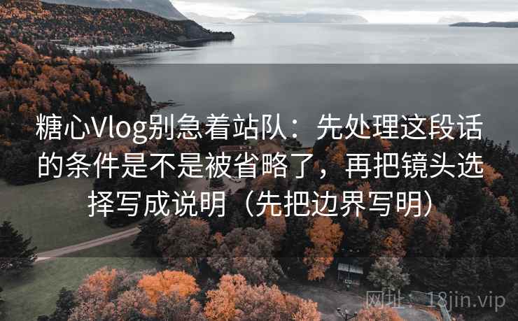 糖心Vlog别急着站队:先处理这段话的条件是不是被省略了,再把镜头选择写成说明(先把边界写明)